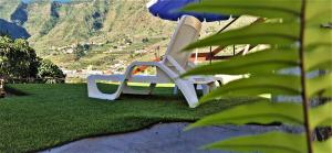 two chairs sitting on the grass under an umbrella at Casa Rural Nuevitas I in Hermigua