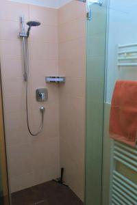 a bathroom with a shower with a glass door at Appartement Piave, Meran Zentrum, mit Garage in Merano