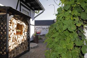 a stone building with a window and a plant at Rosige Zeiten, Ferien im Fachwerkhaus in Kommern