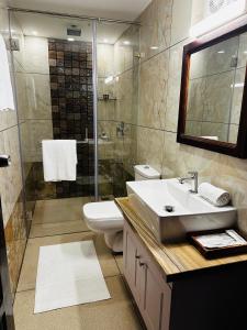 柴瑞海灘的住宿－CHERAI LAKE RESORT，浴室配有卫生间、盥洗盆和淋浴。