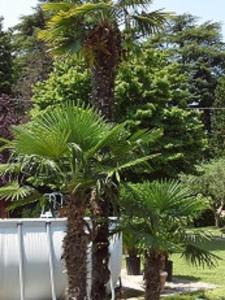 Zahrada ubytování Relais Villa Lézard