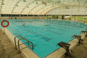 Swimmingpoolen hos eller tæt på Shaar Hagolan Kibbutz Country Lodging