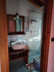 y baño con lavabo, espejo y ducha. en BAITA Ancienne Bergerie, en Valtournenche