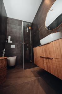 uma casa de banho com um chuveiro, um lavatório e um espelho. em אירוח בגולן em Katzrin