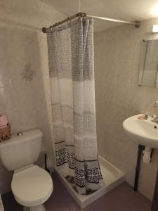 y baño con aseo, lavabo y cortina de ducha. en Õ 2040 Chambre Marmotte en Saint-Véran