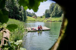 Paesaggio naturale nelle vicinanze dell'affittacamere