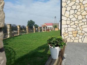 Zahrada ubytování Agroturystyka Ranczo Gościszów