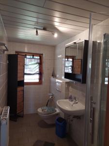 La salle de bains est pourvue d'un lavabo et de toilettes. dans l'établissement Urlaub an der Grenze, à Lauterbach