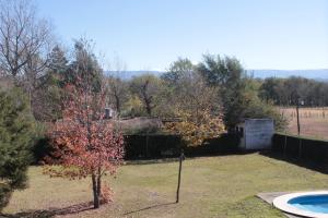 a yard with a tree and a swimming pool at Vista del sol in Villa Ciudad Parque