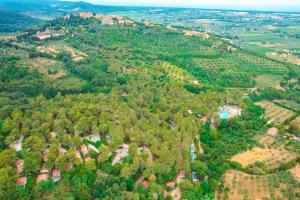 an overhead view of a forest with houses and trees at Le Pianacce Camping Village in Castagneto Carducci