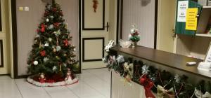 Un sapin de Noël dans une pièce avec comptoir dans l'établissement The English Guest House, à Ruse