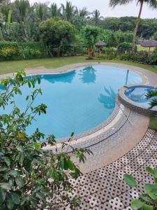 a large swimming pool with a curved coping around it at Farmstay @ Villa Bambusa in Amadeo