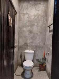 a small bathroom with a toilet and a plant at Farmstay @ Villa Bambusa in Amadeo
