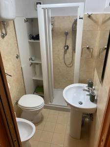 een badkamer met een toilet, een douche en een wastafel bij Roccaraso via Roma 13, TABÌA 22. in Roccaraso