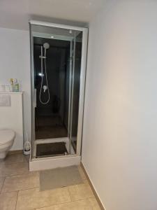 La salle de bains est pourvue d'une douche avec une porte en verre. dans l'établissement Gite des étangs à Montzen, à Plombières