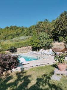 una piscina con tumbonas en un patio en Casa privata immersa nel verde con giardino e piscina, ad Assisi, en Mora