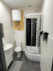uma casa de banho com um chuveiro, um WC e um lavatório. em Studio Piekary 1-go Maja em Piekary Śląskie