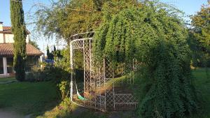 a tree with a metal cage in a yard at La Fornace in Il Palazzone