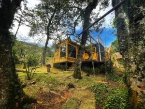 a tree house in the middle of a forest at Recanto Lira II in Monte Verde