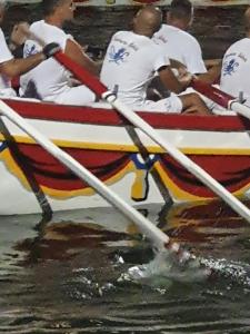 Hostia v ubytovaní Charmant 2 pièces les pieds dans l'eau