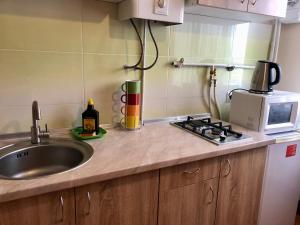 a kitchen counter with a sink and a microwave at Соборная Апартаменты in Kamianets-Podilskyi