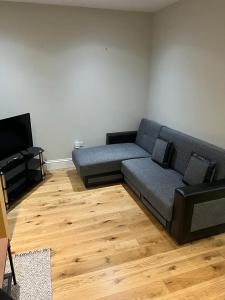 ein Wohnzimmer mit einem Sofa und einem TV in der Unterkunft Lovely 1 bedroom apartment with on street parking in London