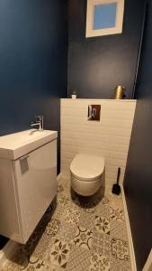 a bathroom with a white toilet and a sink at La villa du lac à Mesnil Saint Père in Mesnil-Saint-Père