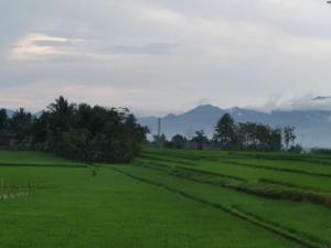 a green field with trees and mountains in the background at Villa Adinda Syariah D6 in Tarogong
