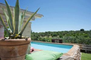 una maceta sentada junto a una piscina en Tenuta Bianca with amazing exclusive pool, en Ostuni