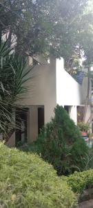 a white house with trees and bushes in front of it at Sharmi tree house in Pretoria