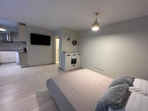 a bedroom with a bed and a television in it at Beautiful Apartment Great Location FREE PARKING in Rīga