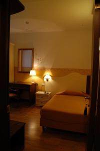una camera con letto, scrivania e specchio di Albergo Ristorante Flora a Vittorio Veneto
