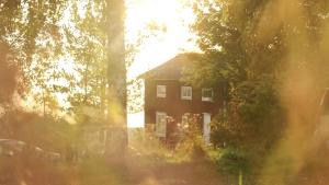 a house in the middle of some trees with the sun at Cozy Stuga - Mountain View in Ramsele