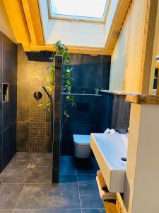 a bathroom with a toilet and a sink at La Loge de la Dolarde - Chambre Sud in Prémanon