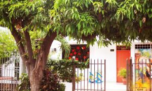 a tree in front of a building with a fence at Hotel Casa La Pilonera in Valledupar