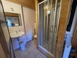 a bathroom with a shower and a sink at Geigerhaus 500 Jahre - Appt A in Stuhlfelden