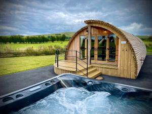 a large iguana building with a hot tub in front of it at Snowdrop in Rhayader