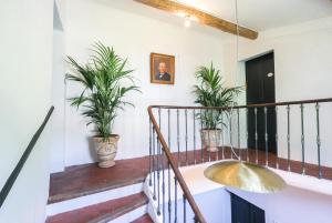 a staircase with potted plants in a house at La Madone in Apt