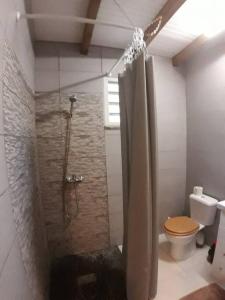 bagno con tenda per la doccia e servizi igienici di Studio-Kannel a Les Abymes