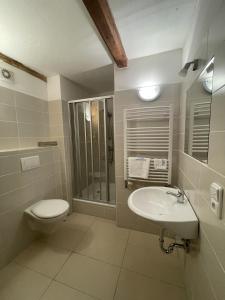 a bathroom with a toilet and a sink at Geigerhaus 500 Jahre - Maisonette in Stuhlfelden +25 photos
