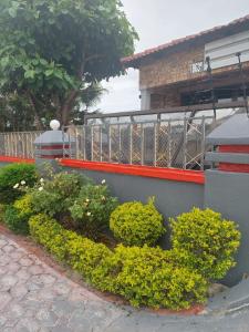 a row of bushes in front of a building at Nsuku Bed and Breakfast in Thulamahashi