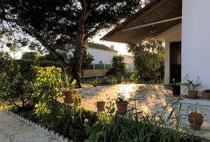 a garden with potted plants on a patio at Estrela do Litoral Beach House in Costa da Caparica