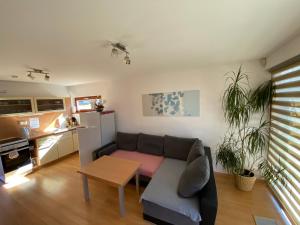 a living room with a couch and a table at Apartmany Resort in Horní Bečva