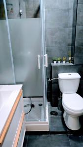 a bathroom with a white toilet and a shower at apartamento Ciempozuelos II in Ciempozuelos