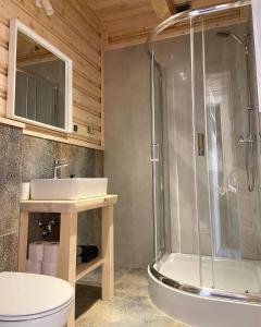 a bathroom with a shower and a toilet and a sink at Domki Widokowe -Przystanek Salamandra in Kościelisko