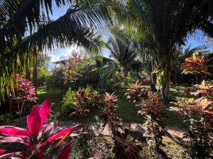 a garden with tropical plants and palm trees at Green Valley Inn in Unitedville
