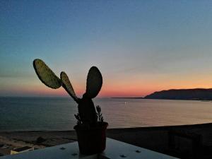 een potplant op een tafel bij de oceaan bij Appartamento Il Gabbiano in Balestrate