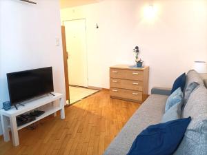 Televízia a/alebo spoločenská miestnosť v ubytovaní Rental Apartment Trębacka