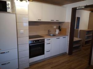 Kuchyň nebo kuchyňský kout v ubytování Apartmaji Preželj