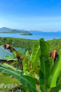 a group of banana trees with a view of the ocean at Green Hill Restaurant & Cottages in San Vicente
